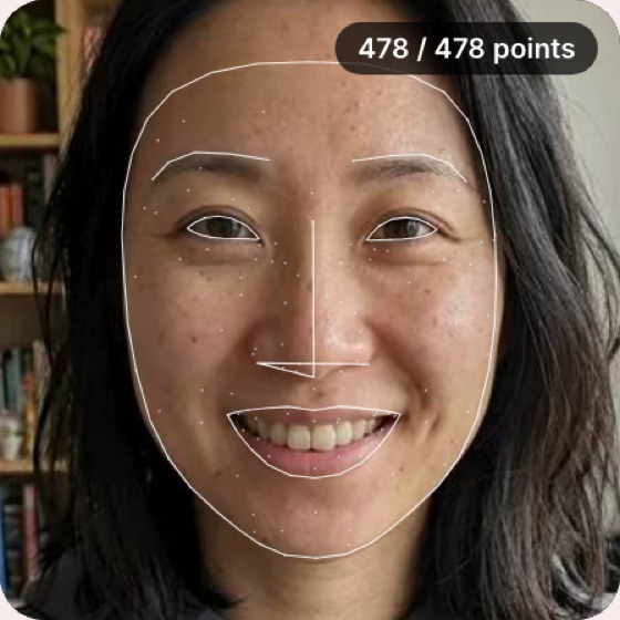 Attractiveness Test example: 478 landmarks measured on a sample selfie